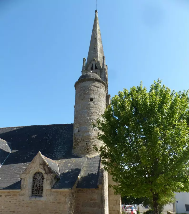 Slide image