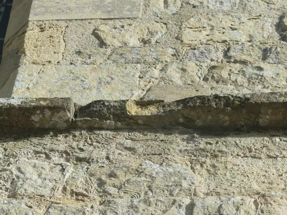 Slide image