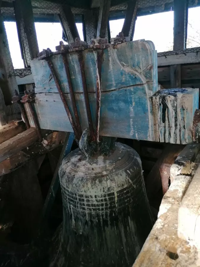 Slide image