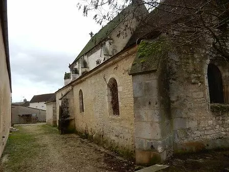 Slide image