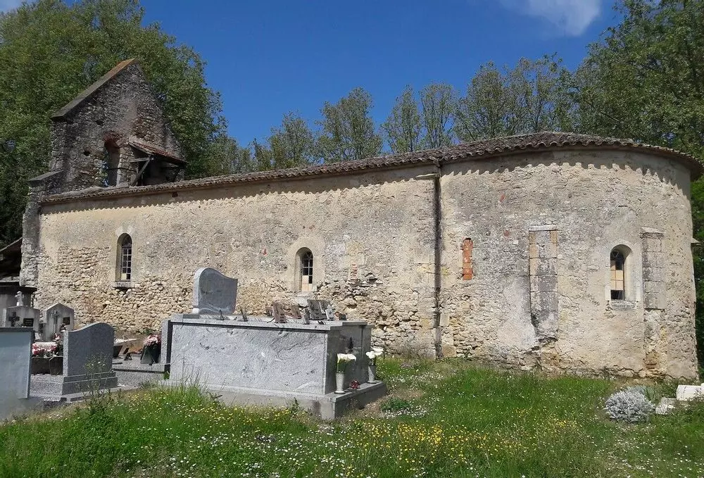 Slide image