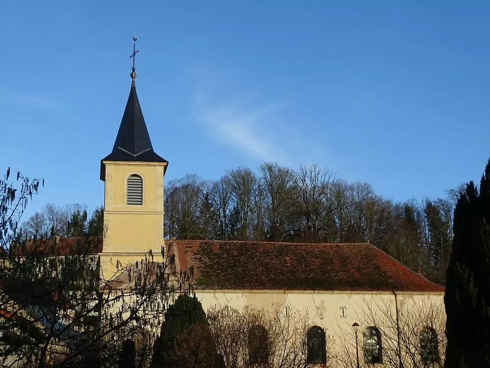 Slide image