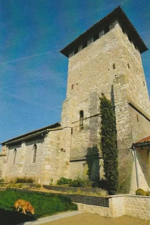 Slide image