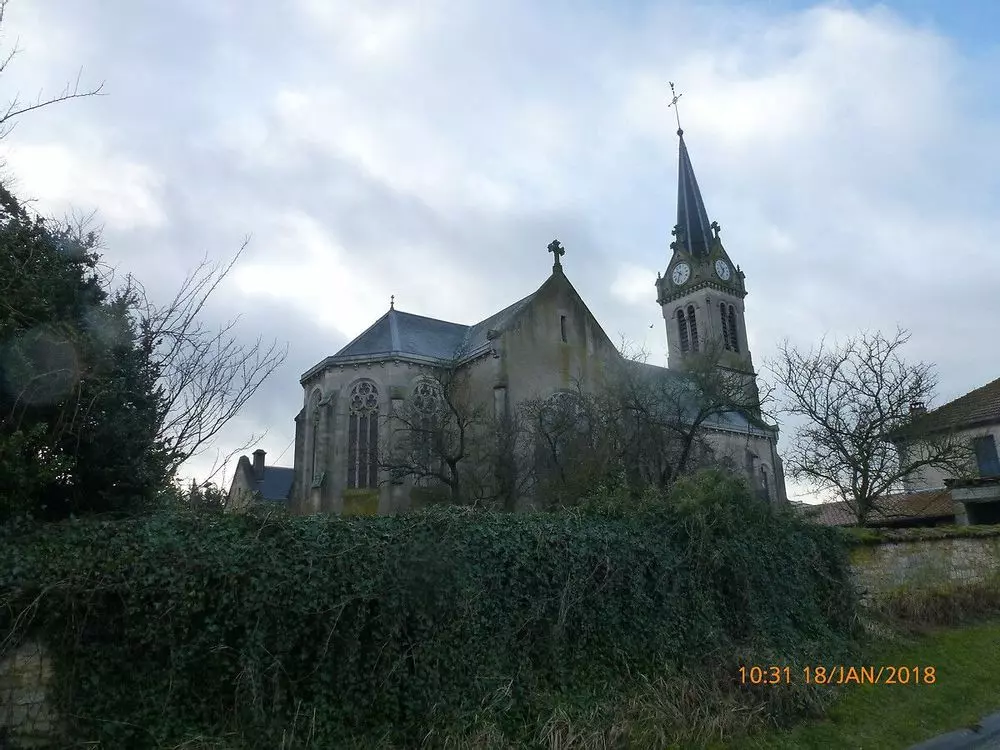 Slide image