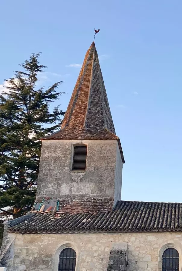 Slide image