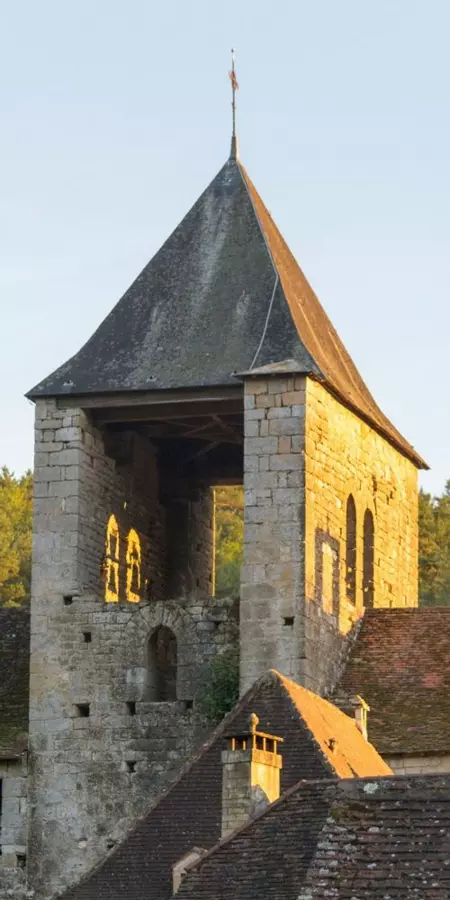 Slide image