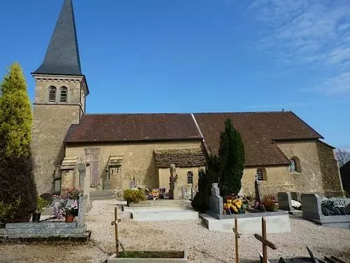 Slide image