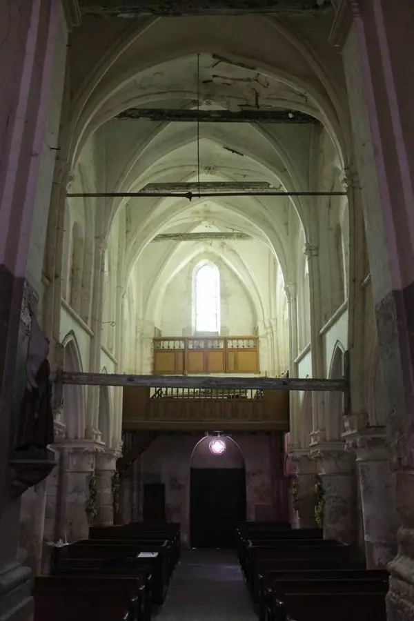Slide image