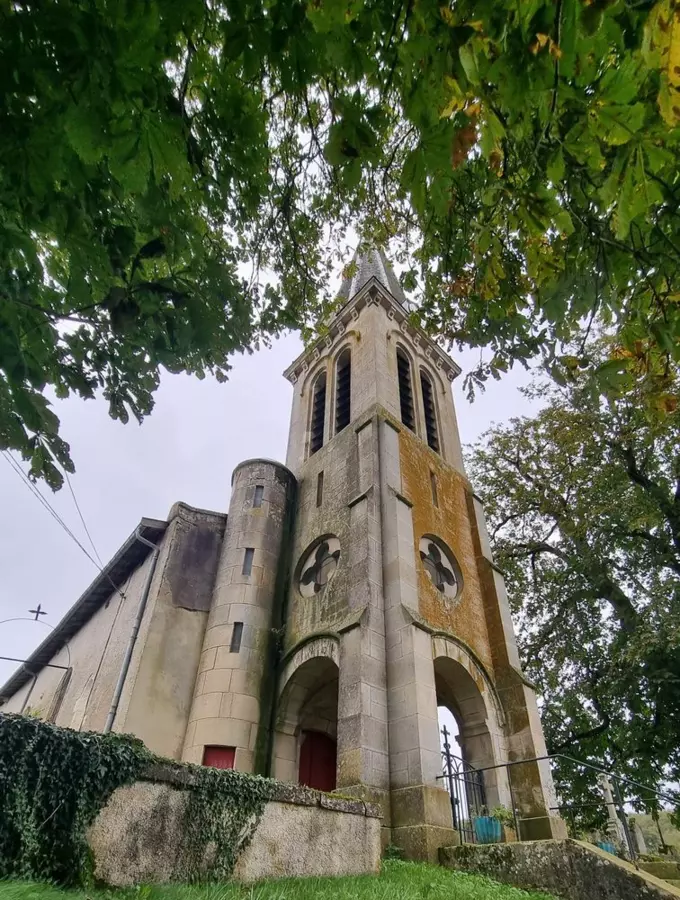 Slide image
