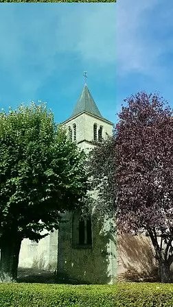 Slide image