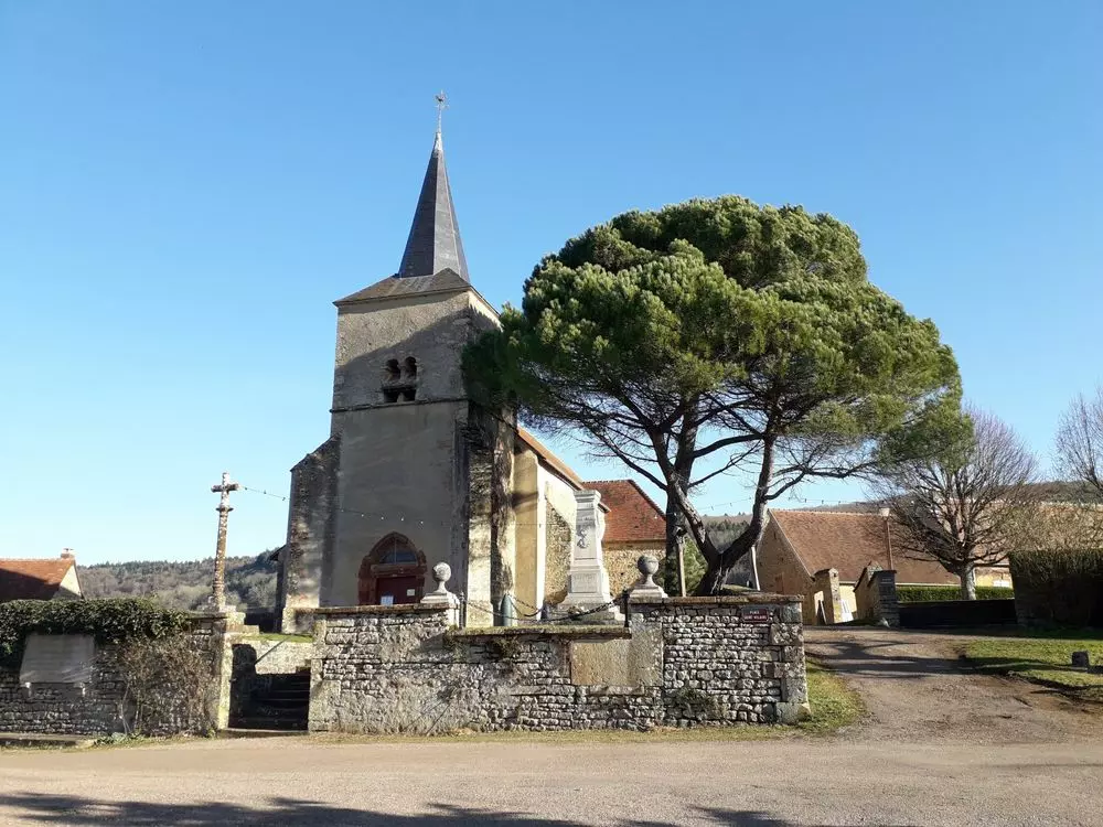 Slide image