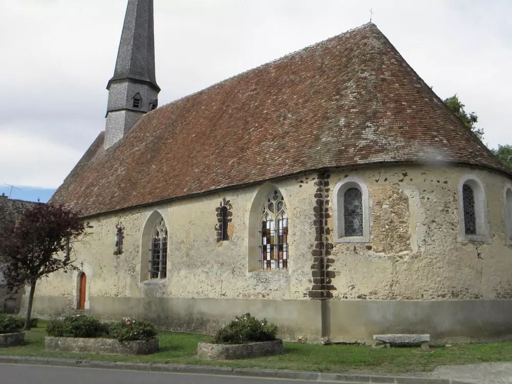 Slide image