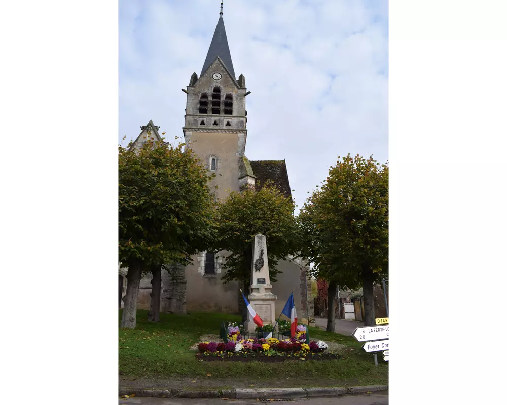 Slide image