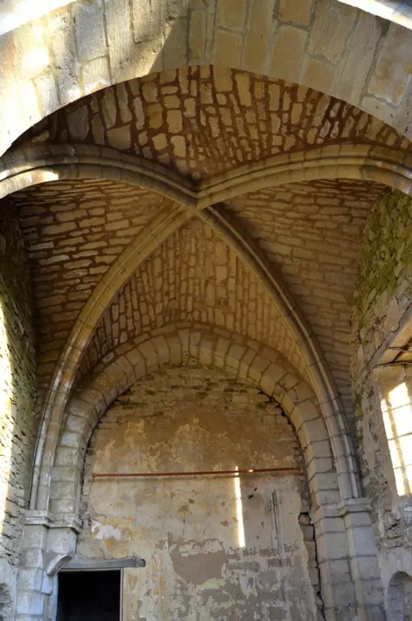Slide image