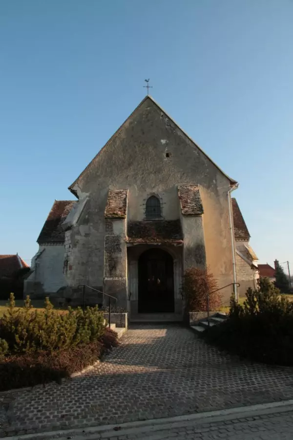 Slide image