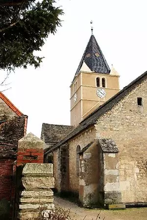 Slide image