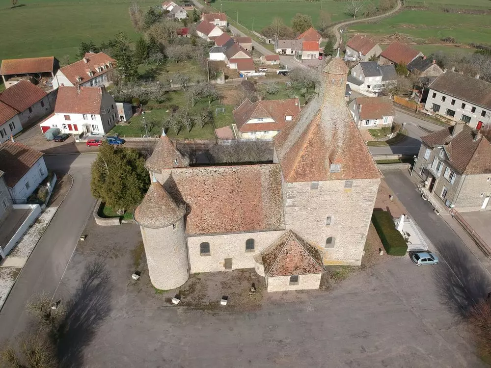 Slide image