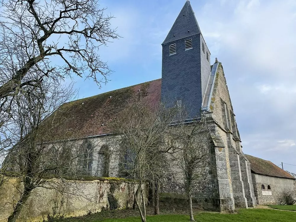 Slide image