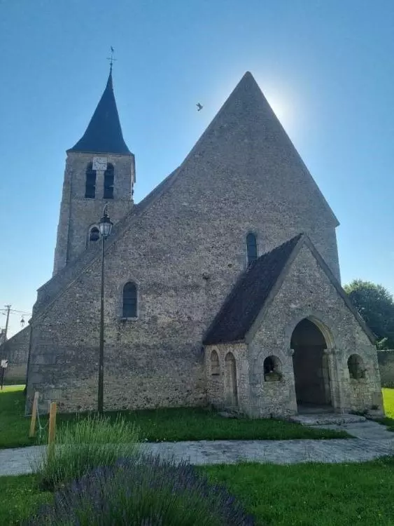 Slide image