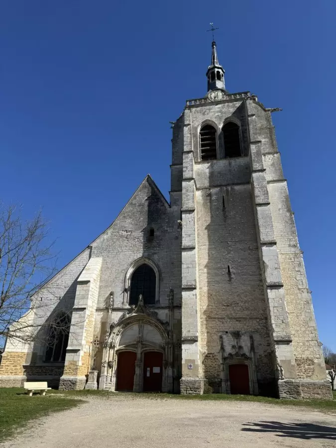 Slide image