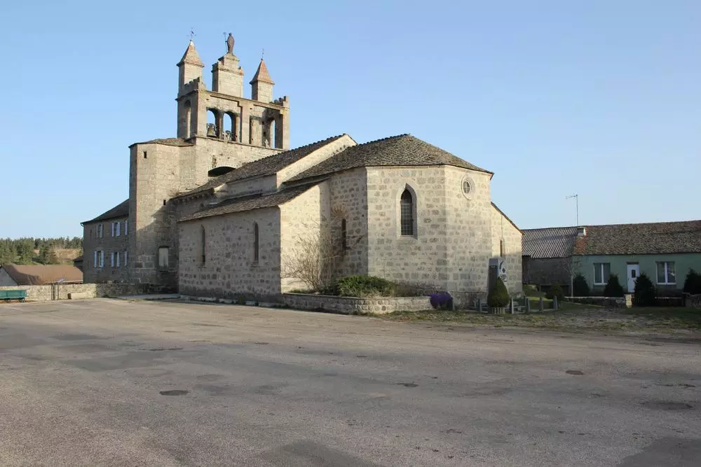 Slide image