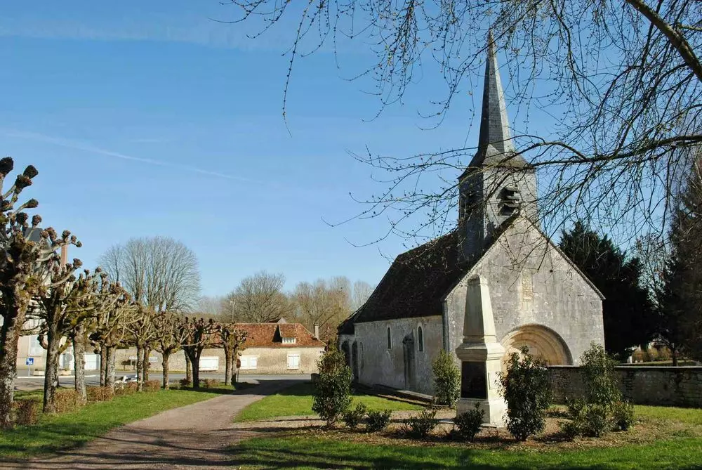 Slide image