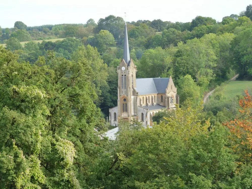 Slide image
