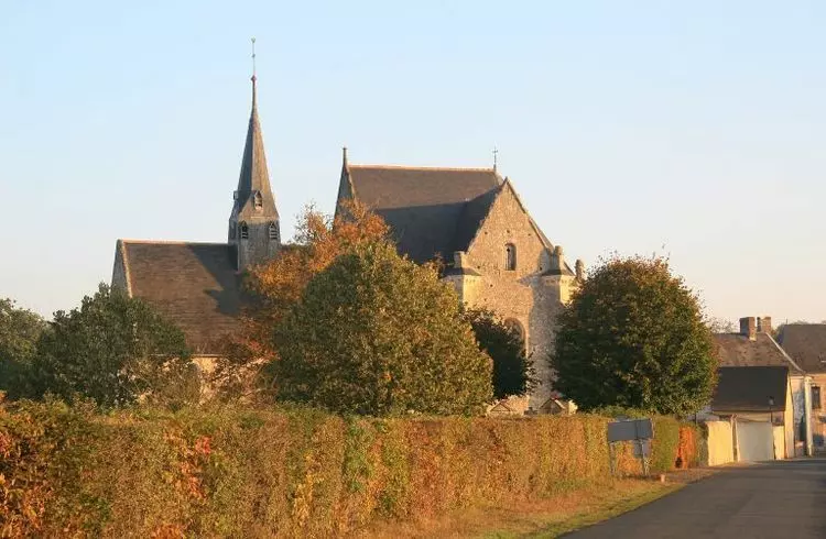 Slide image