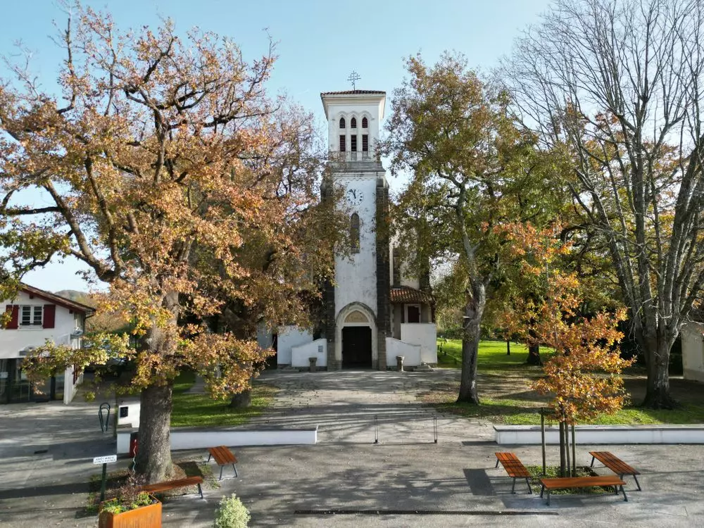 Slide image