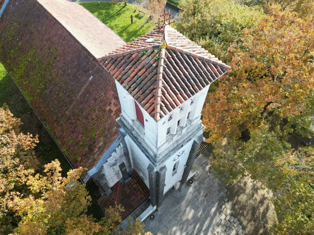 Slide image