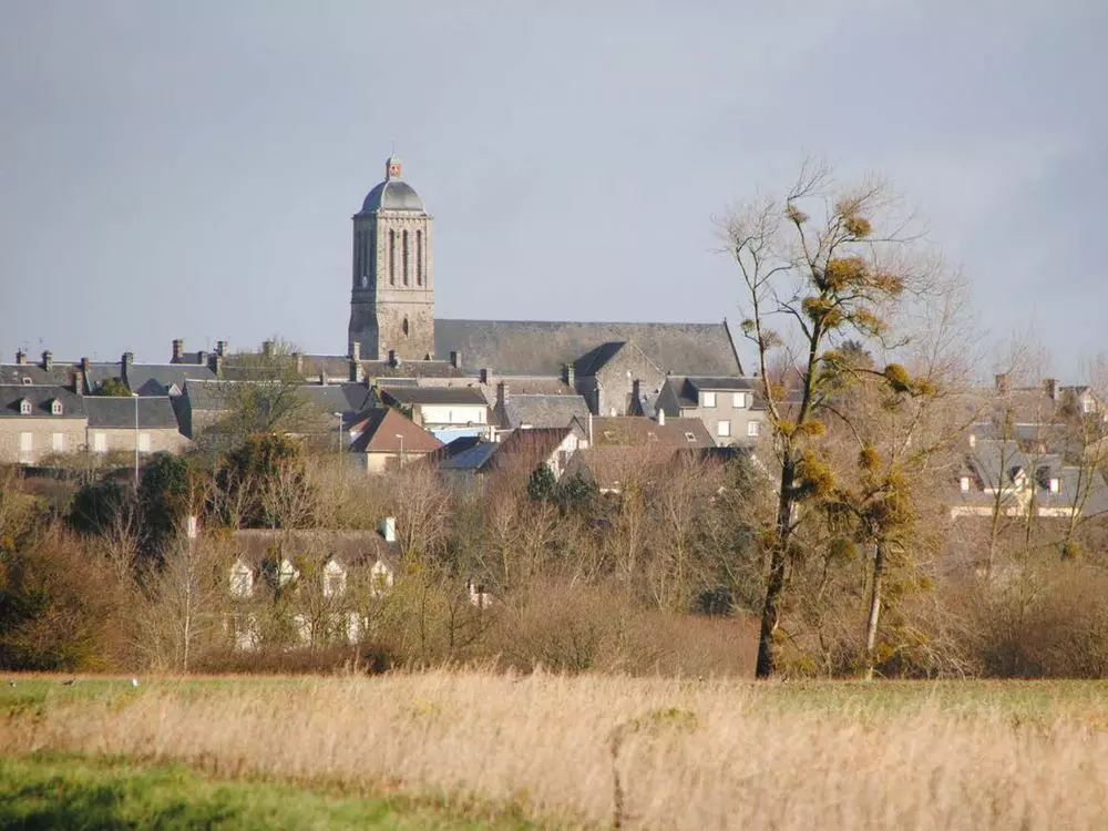 Slide image