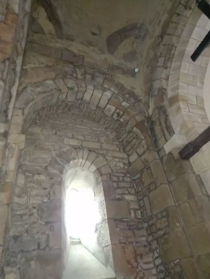 Slide image