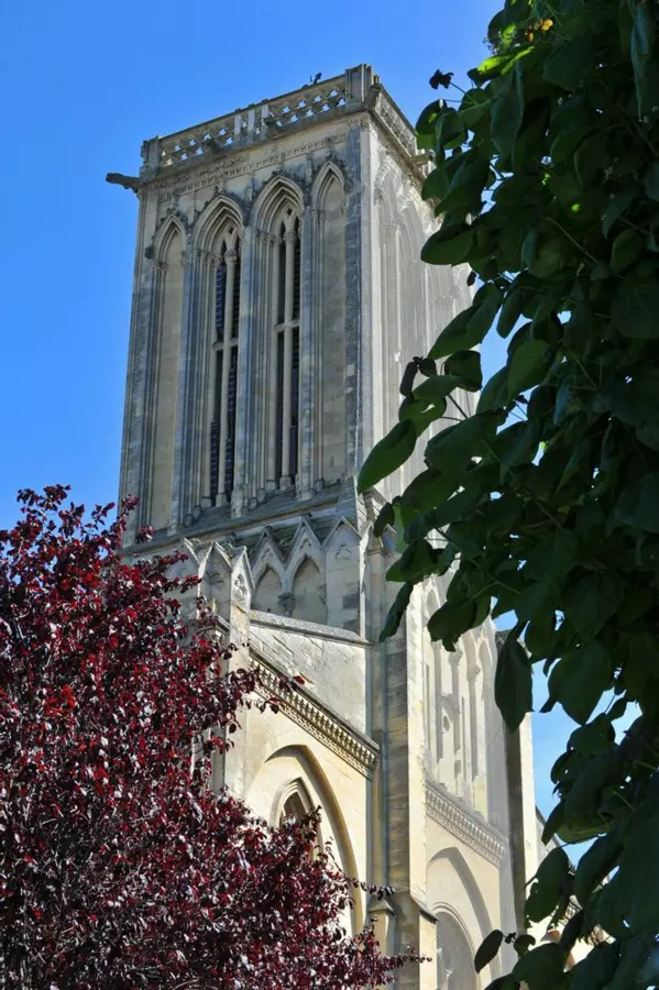 Slide image