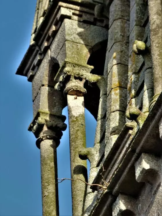 Slide image