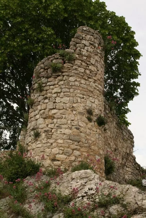 Slide image