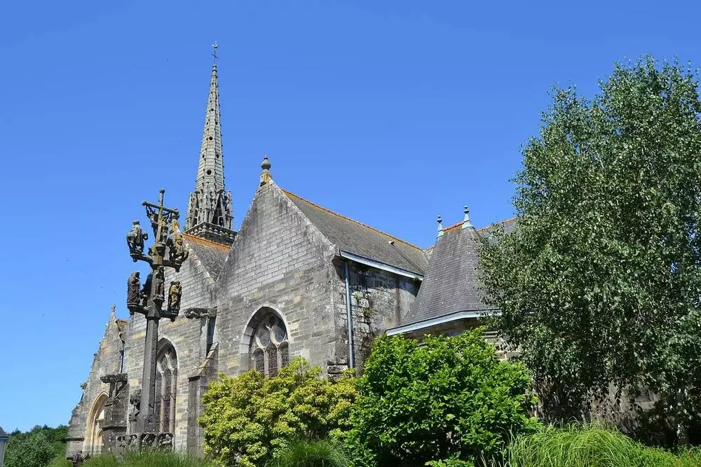Slide image