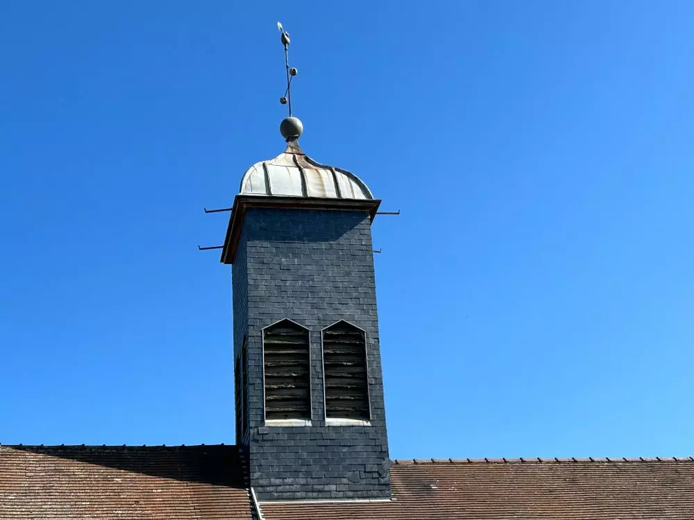 Slide image