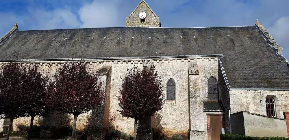 Slide image