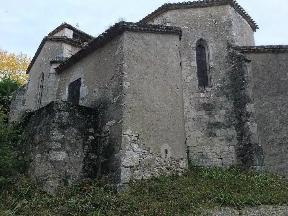 Slide image