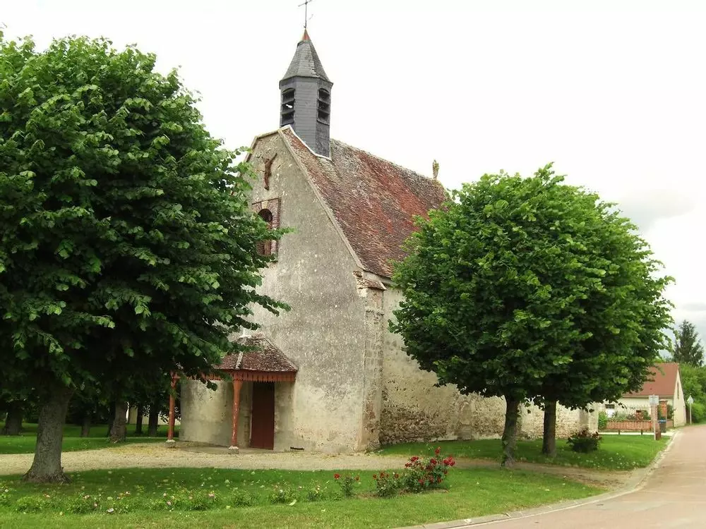 Slide image
