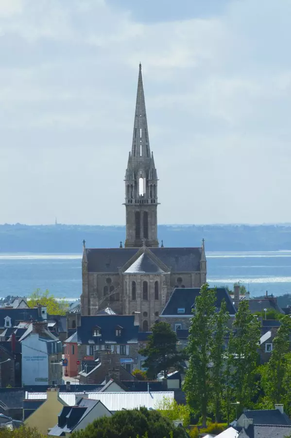 Slide image