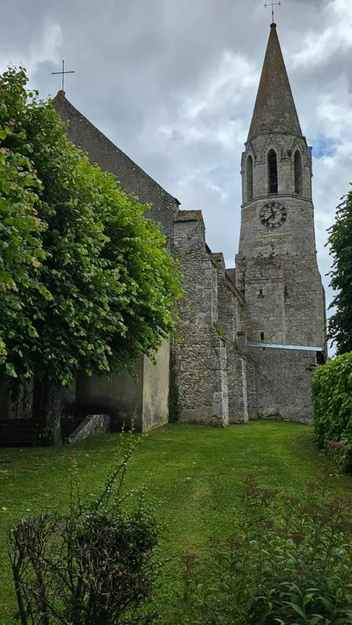 Slide image