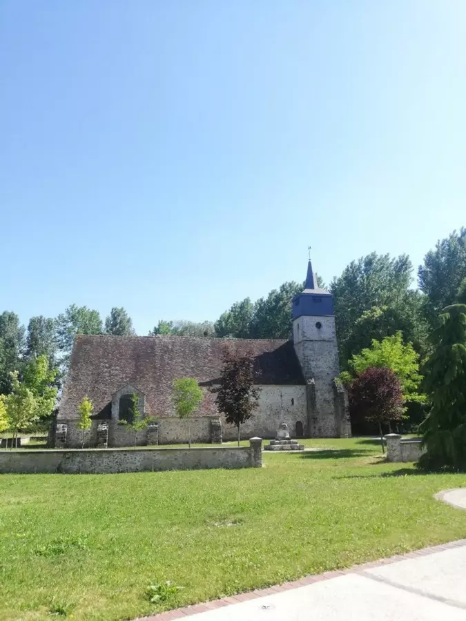 Slide image