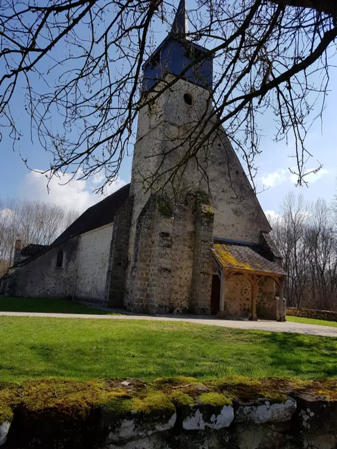 Slide image