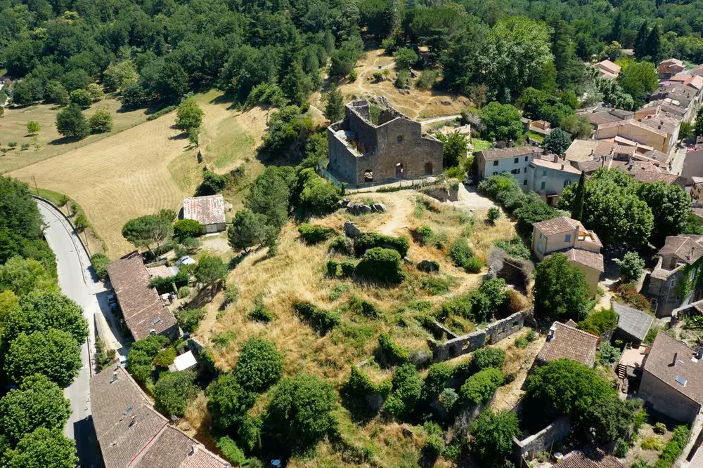 Slide image