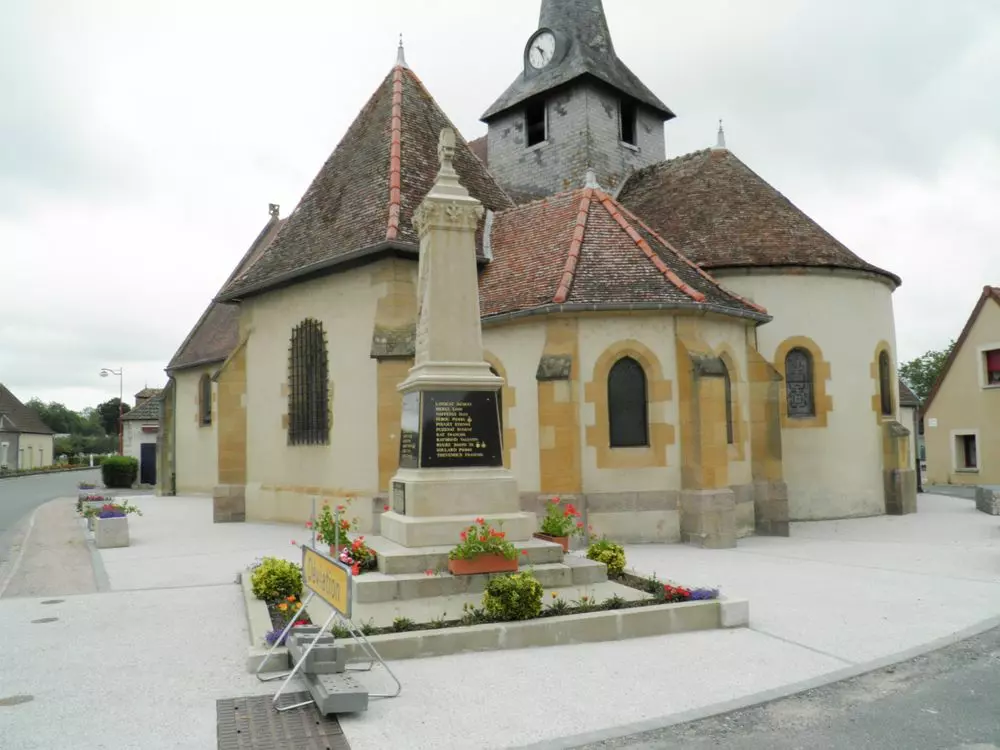 Slide image