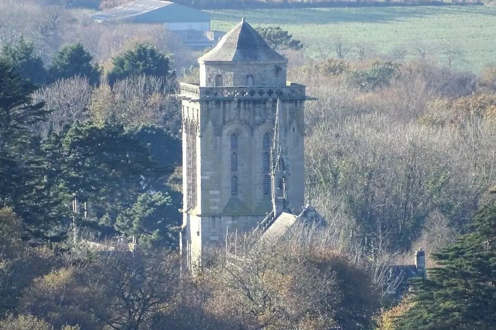 Slide image