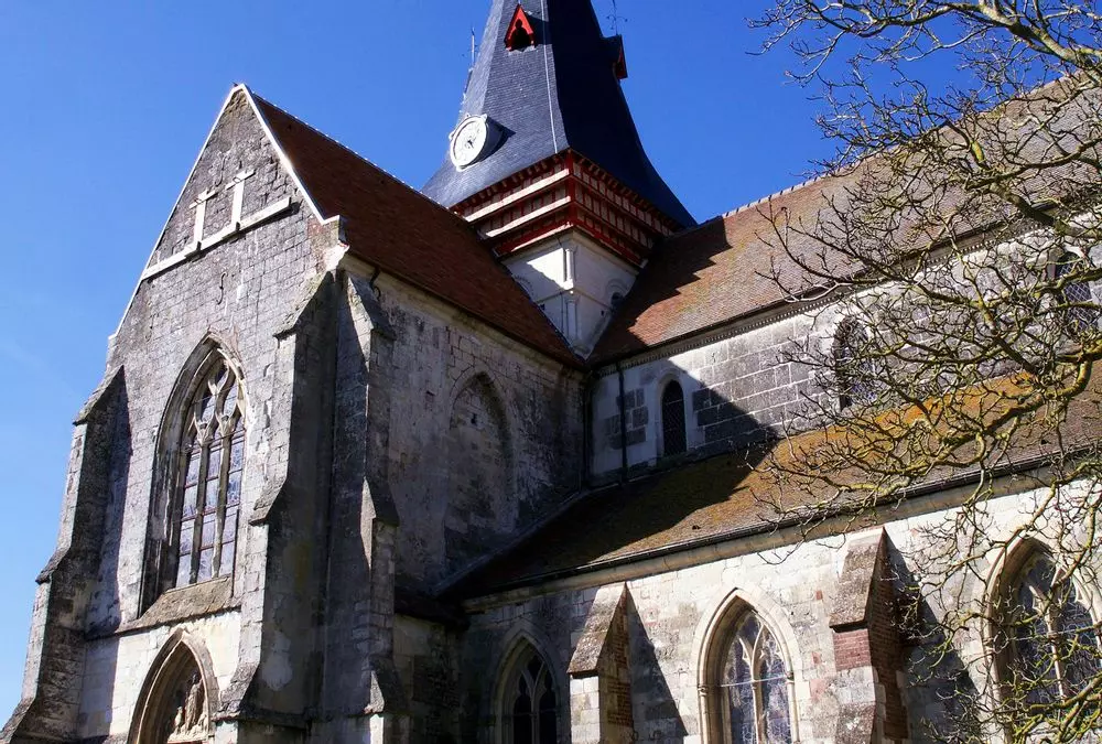 Slide image