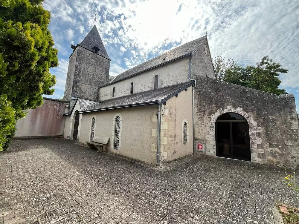 Slide image