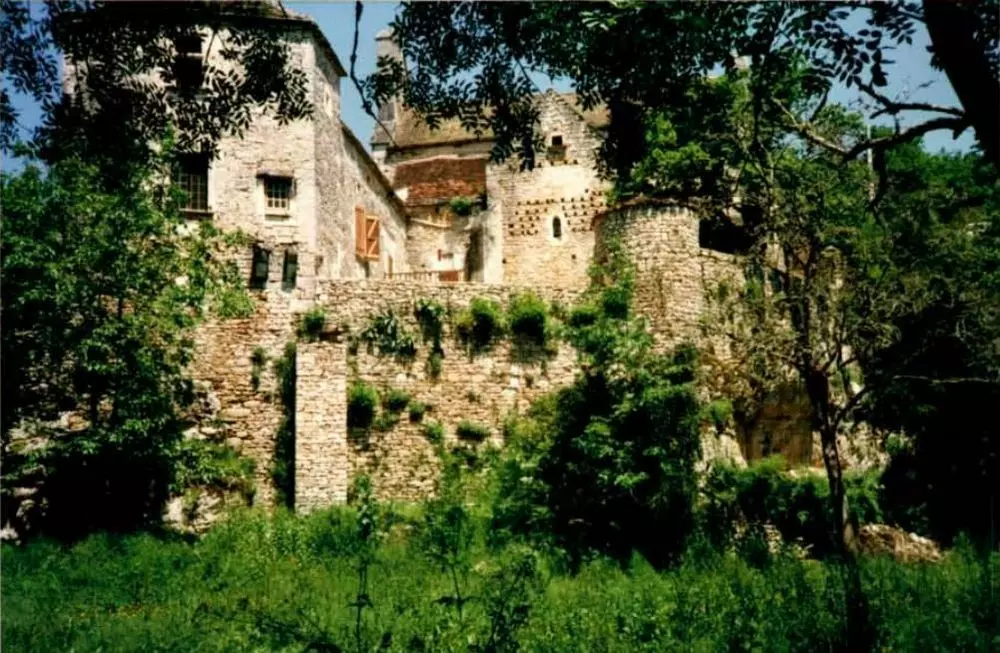 Slide image